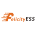 Аккумулятор литиевый Felicity FLA48314-PLUS (LiFePO4 51,2V 300Ah 16kWh)